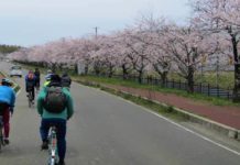 Normas de trânsito para ciclistas no Japão