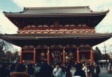 Desvendando a Diferença entre Templos e Santuários no Japão